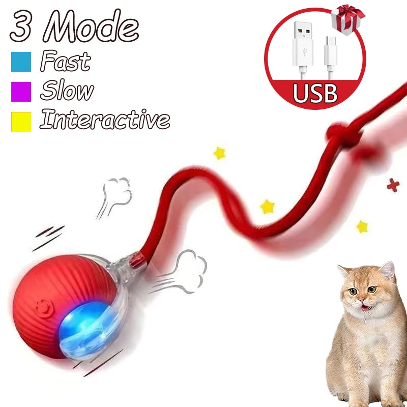 Cat Interactive Ball Toy Set Two Pack Automatic Rolling Ball Rechargeable