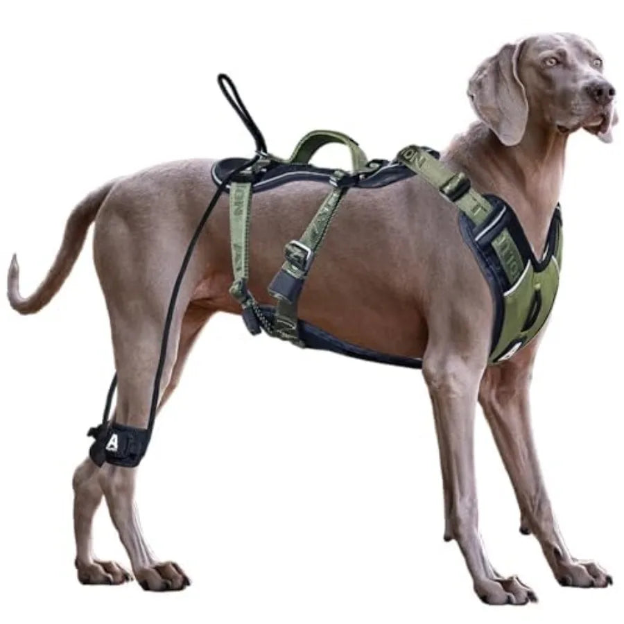 Heavy Duty No Pull Dog Harness With Handle Easy Control