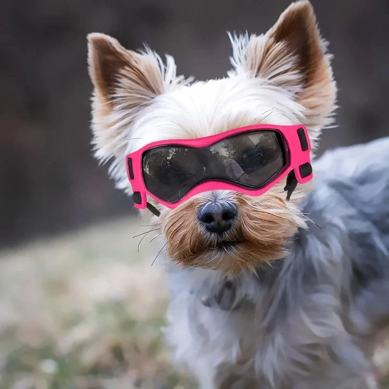 UV Protective Dog And Cat Goggles For Outdoor Car Rides