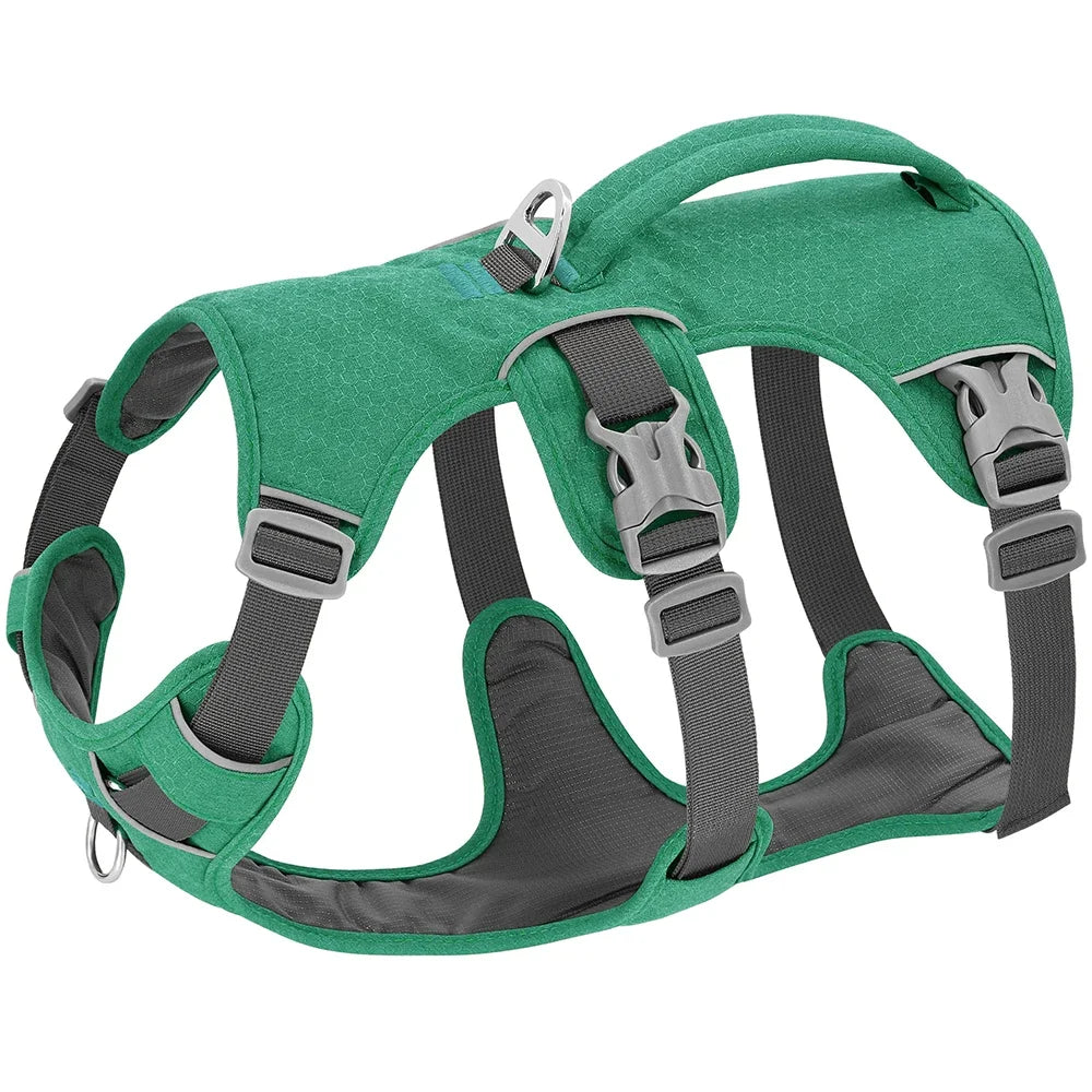 Nylon Reflective Dog Harness With Handle, Adjustable For All Dogs