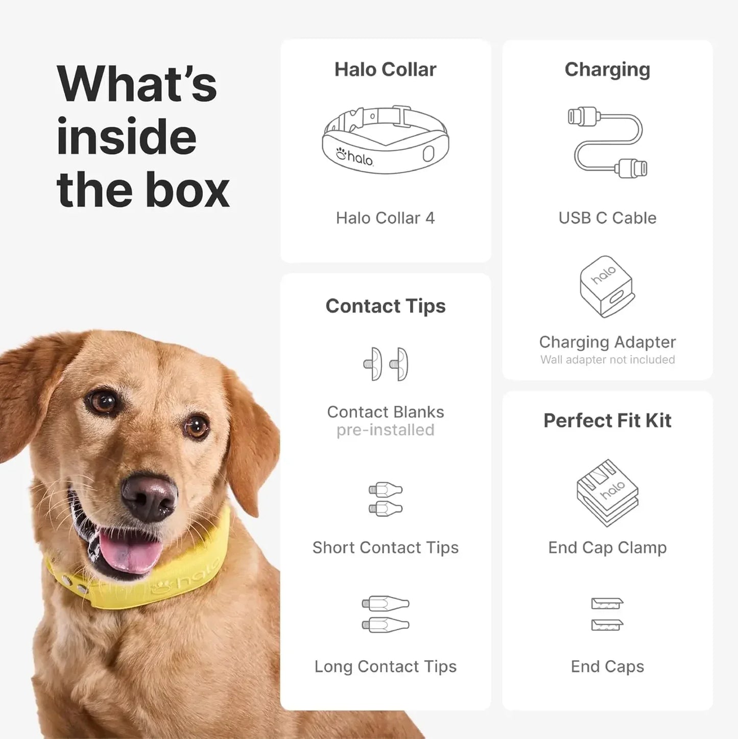 Halo Collar Outdoor Boundary System With Real Time Tracking