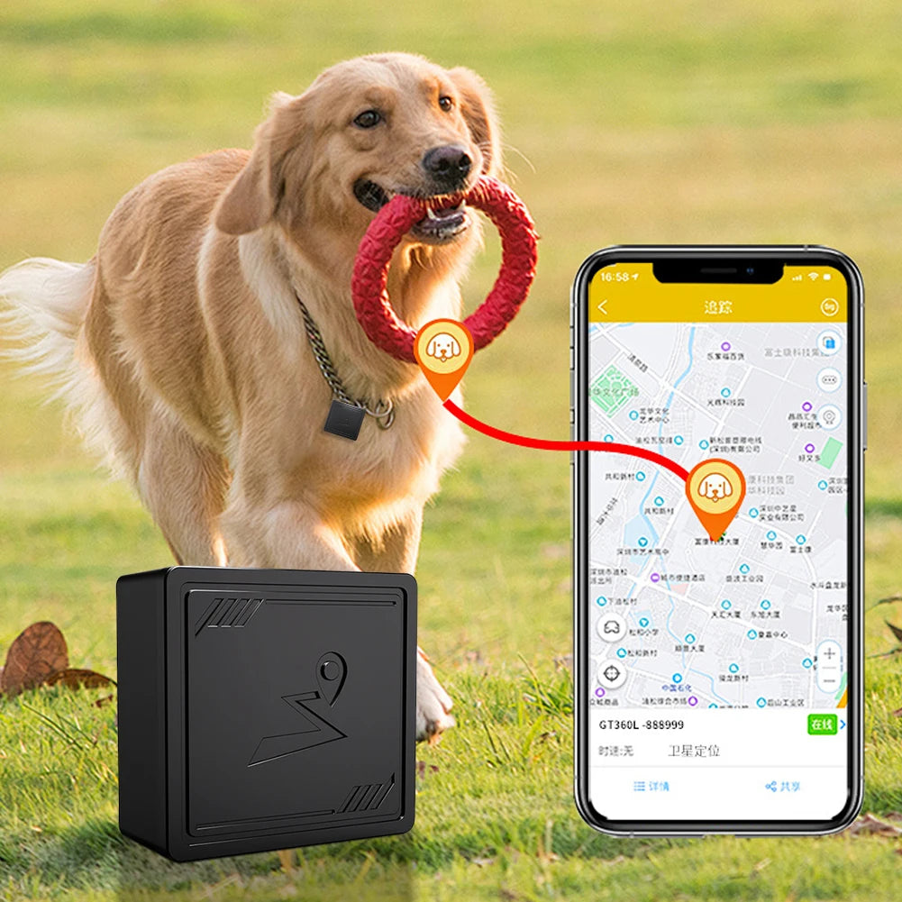 4G GPS Tracker for Pets and People with Real Time App Tracking