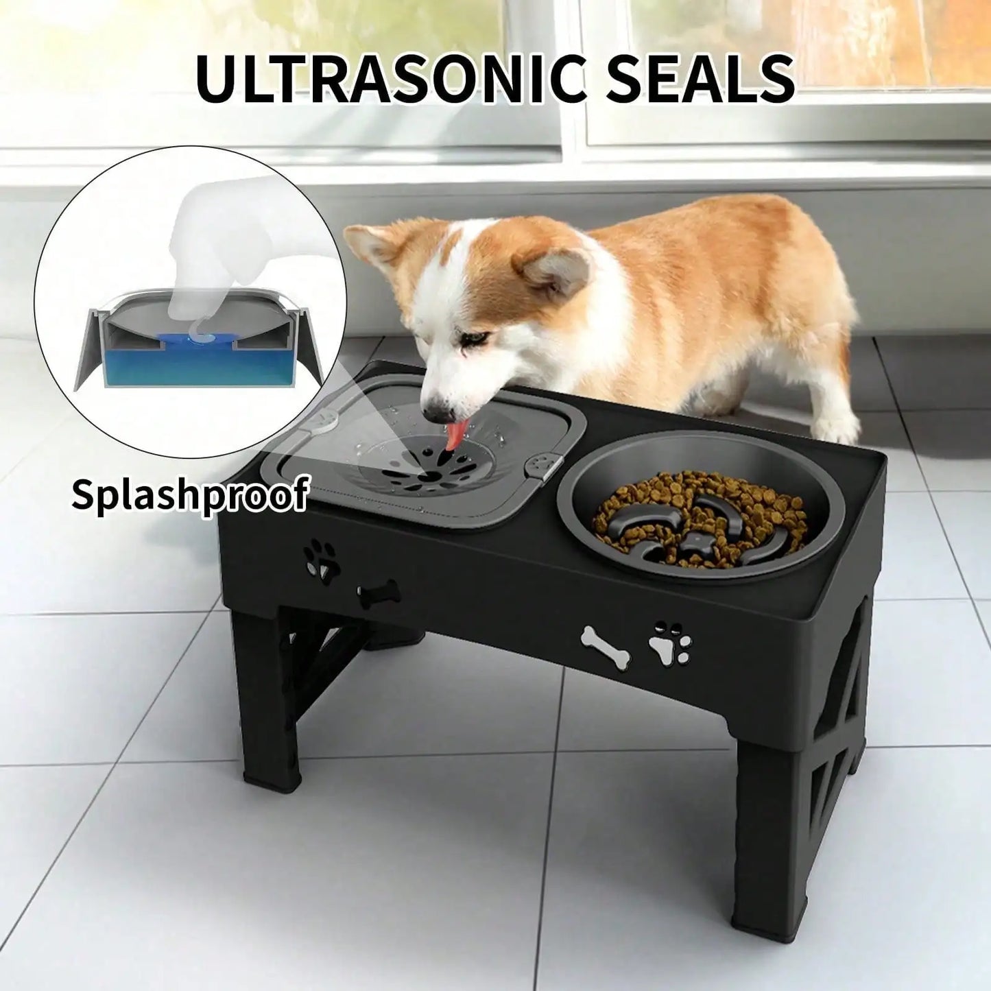 Raised Dog Bowl Stand With Anti Slip Feet Dual Feeder