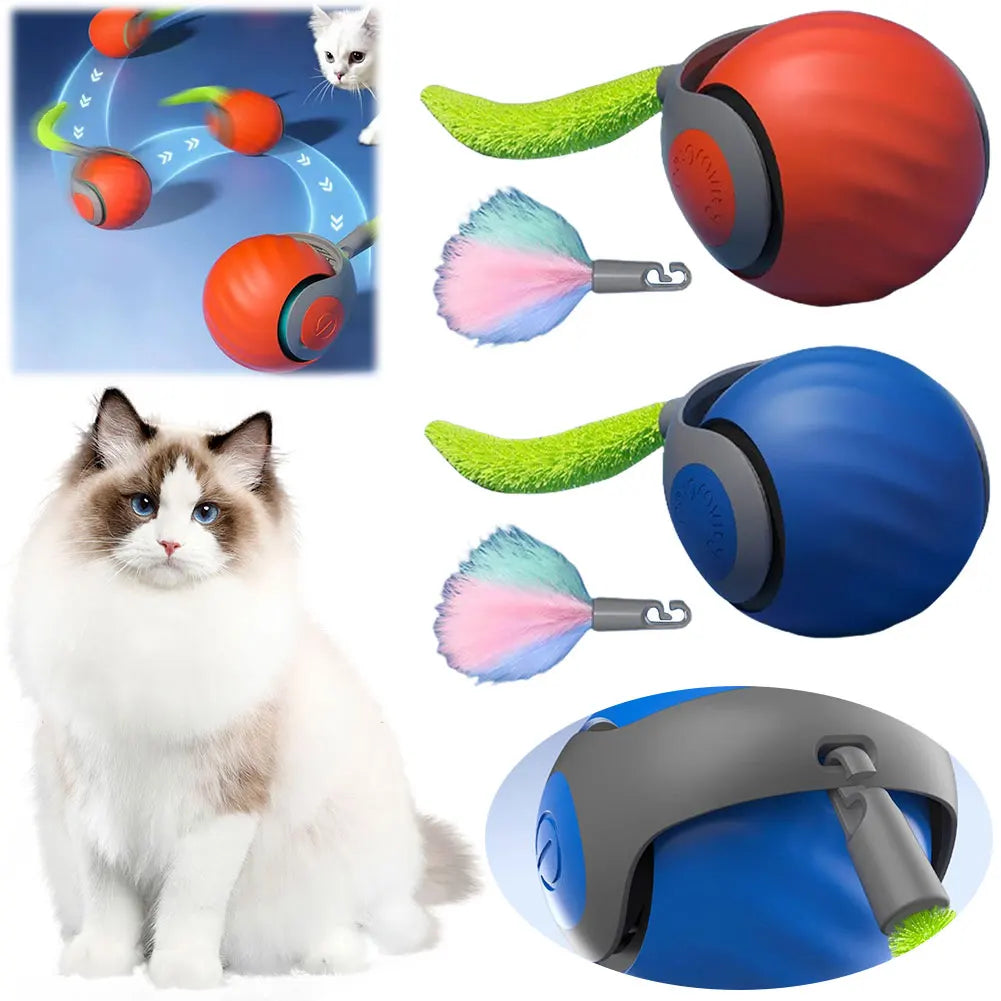 Interactive Pet Toy for Enrichment and Brain Games