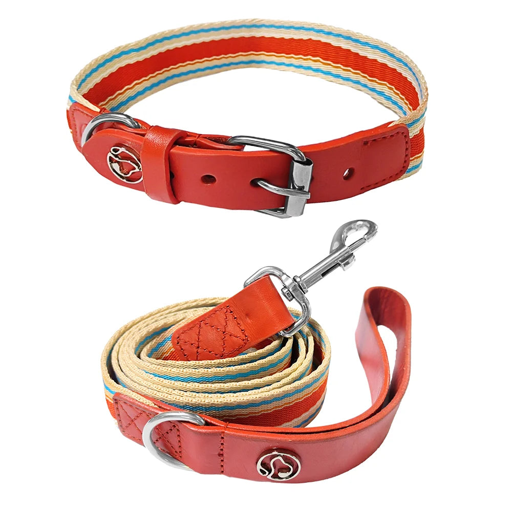 Adjustable Dog Collar And Retractable Leash Set For All Dogs