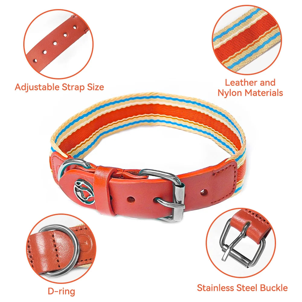 Adjustable Dog Collar And Retractable Leash Set For All Dogs