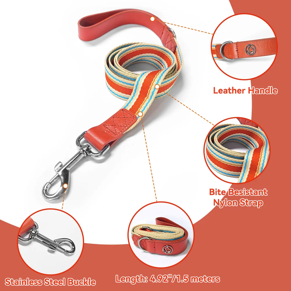Adjustable Dog Collar And Retractable Leash Set For All Dogs