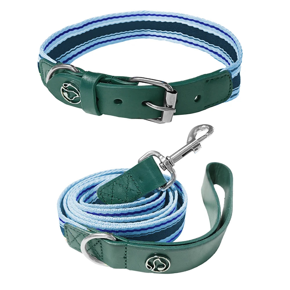 Adjustable Dog Collar And Retractable Leash Set For All Dogs
