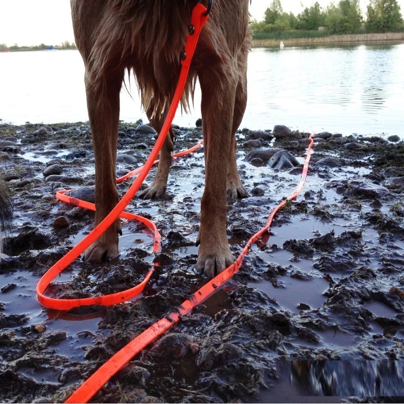 Livepetsme Waterproof PVC Dog Leash For Walks And Training