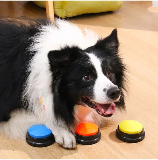 Funny Dog Recordable Talking Button Toy For Pets
