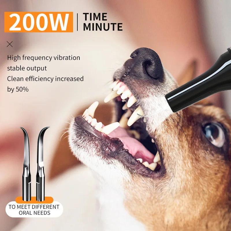 Ultrasonic Portable Electric Dog Toothbrush For Pet Dental Care