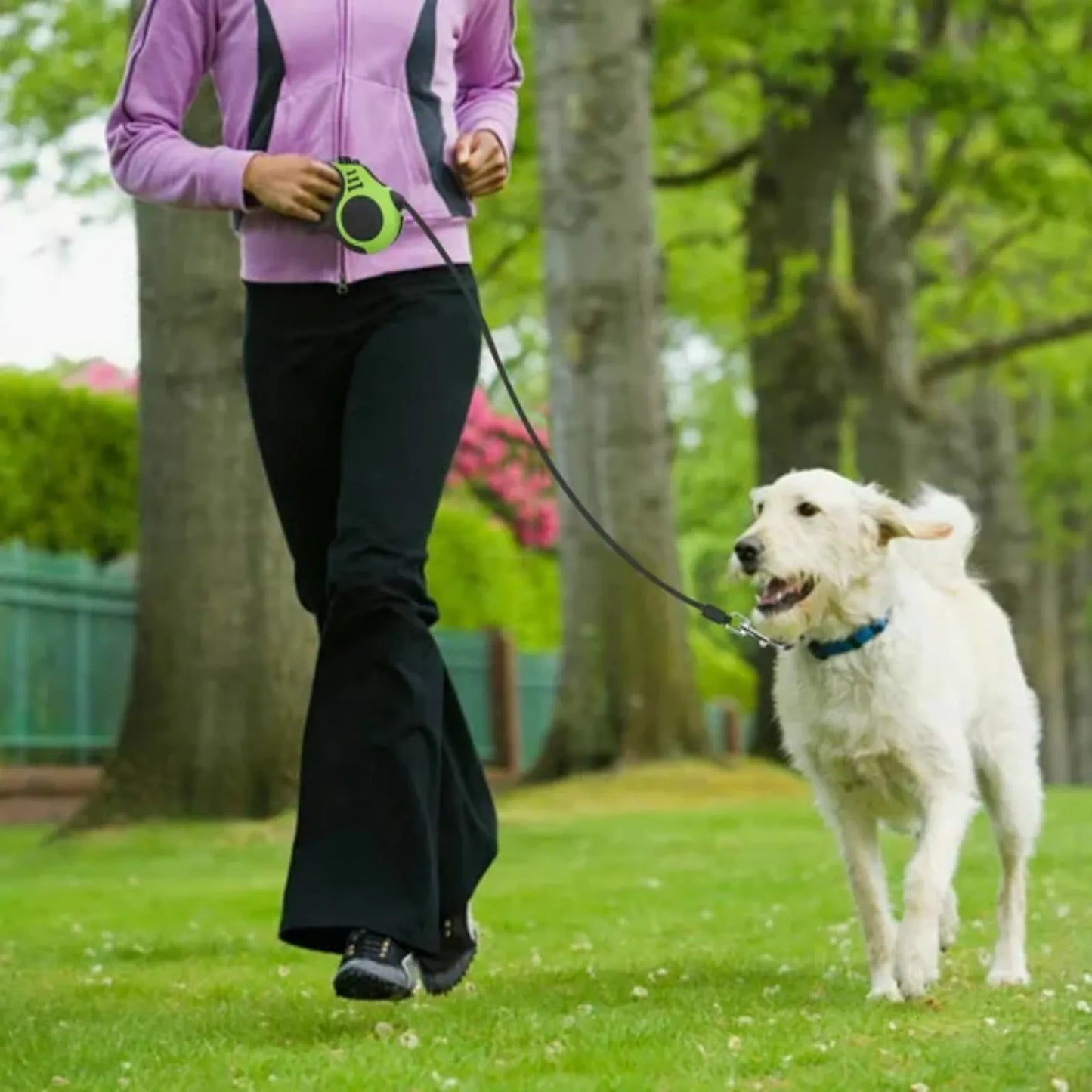 Retractable Dog Leash Automatic Walking Lead For Pets