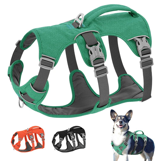 Nylon Reflective Dog Harness With Handle, Adjustable For All Dogs