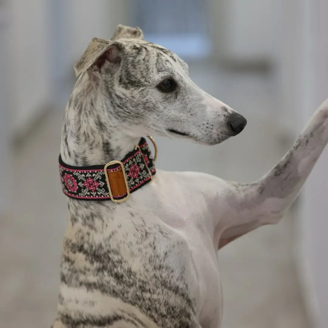NONE Martingale Dog Collar For Greyhounds And Similar Breeds