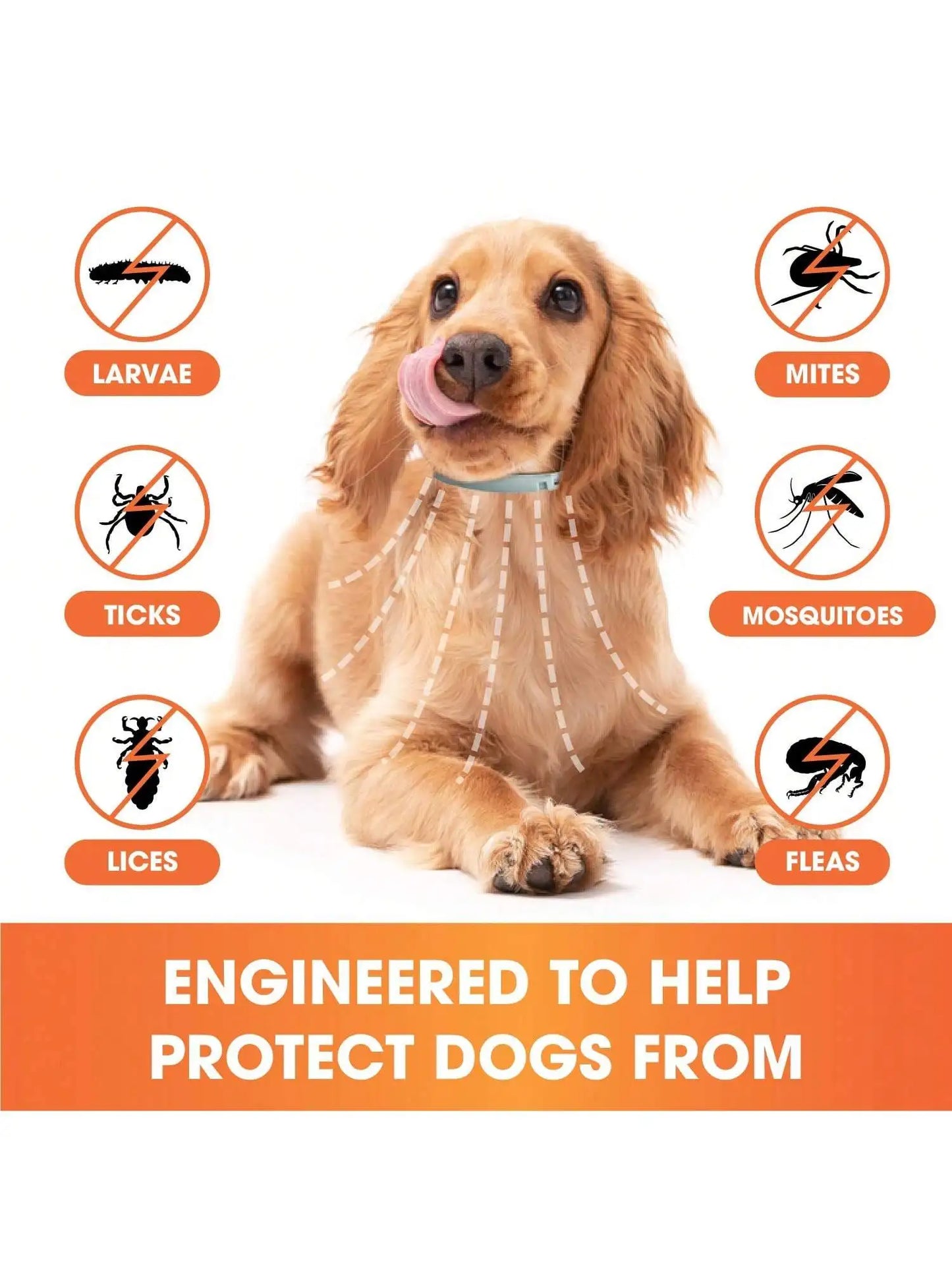 Natural Flea And Tick Treatment Collar For Dogs Waterproof