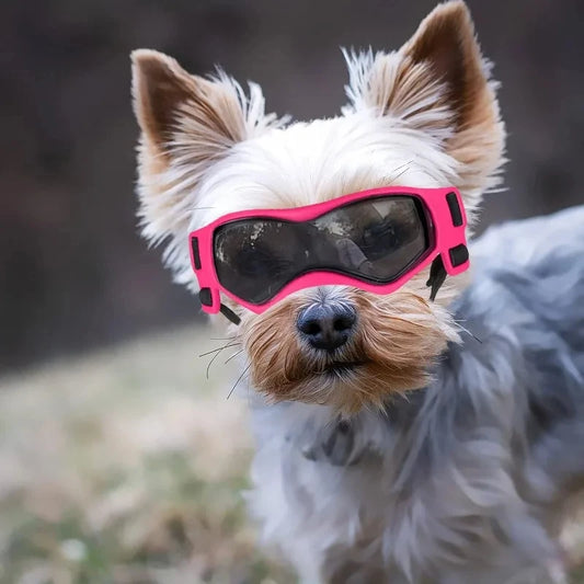 UV Protective Dog And Cat Goggles For Outdoor Car Rides