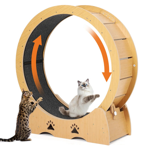 HiMISSCN Wooden Cat Exercise Wheel For Indoor Cats