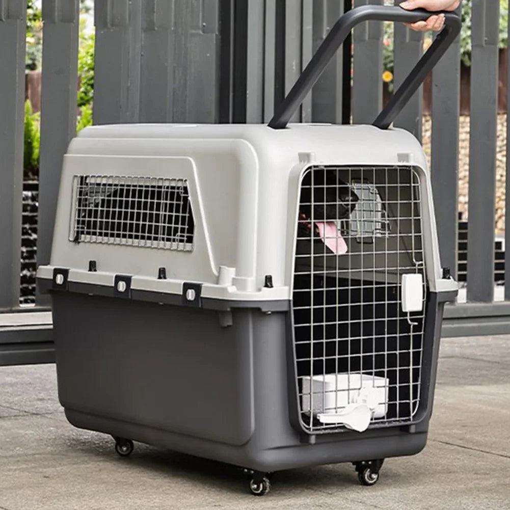 Cat Carrier with Handle and Metal Door Airline Approved