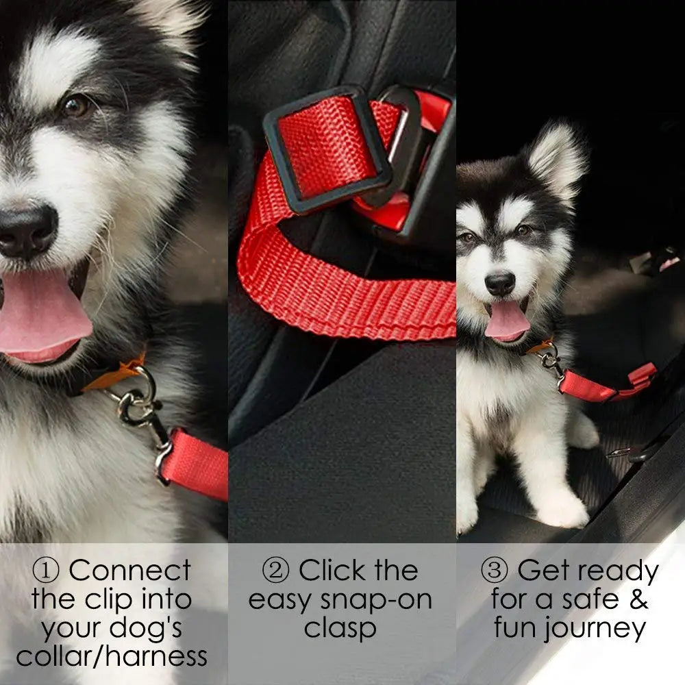 Nylon Car Seat Belt for Dogs and Cats Travel Harness