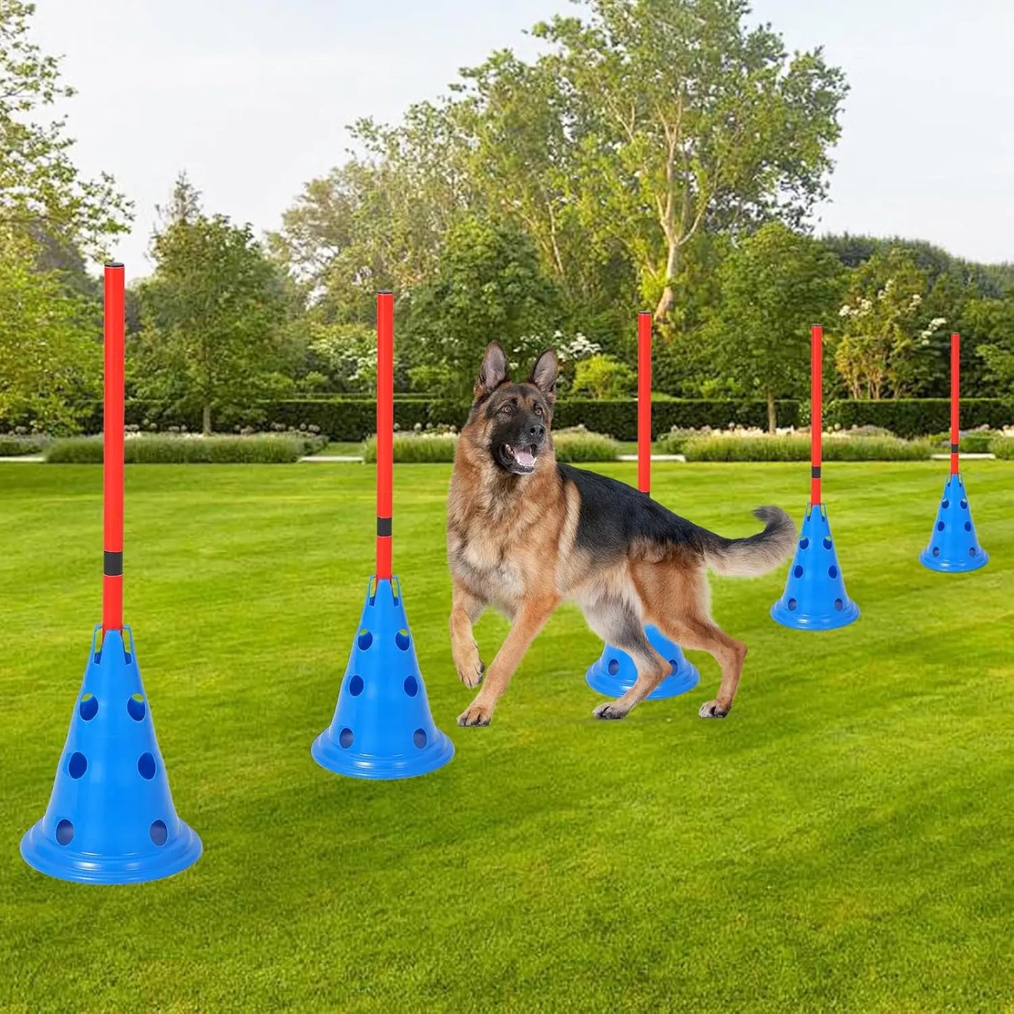 HiMISS Dog Agility Hurdle Cone Set For Backyard Training Course