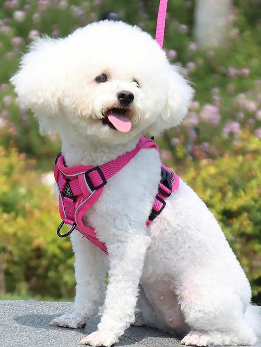 Reflective Pet Harness and Leash Set for Dogs and Cats Escape Proof