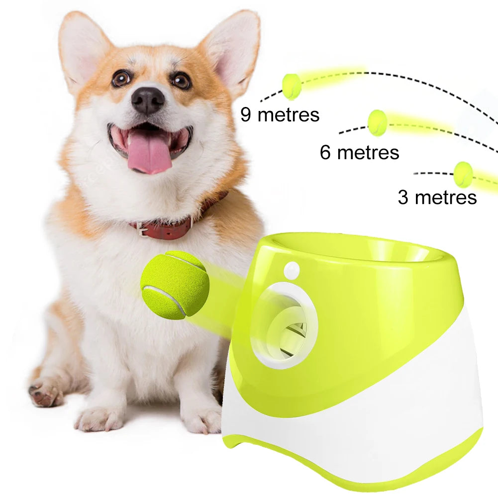 Automatic Dog Ball Launcher Fetch Toy With 3 Tennis Balls
