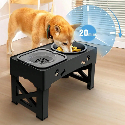 Raised Dog Bowl Stand With Anti Slip Feet Dual Feeder