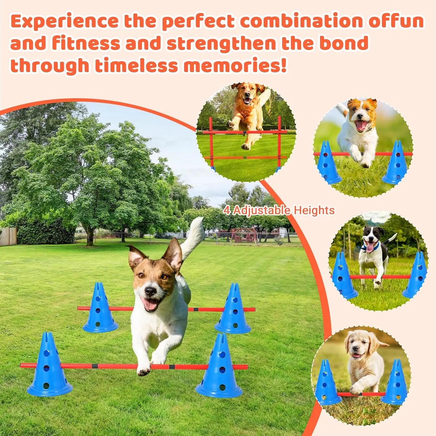 HiMISS Dog Agility Hurdle Cone Set For Backyard Training Course