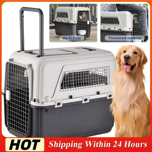 Cat Carrier with Handle and Metal Door Airline Approved