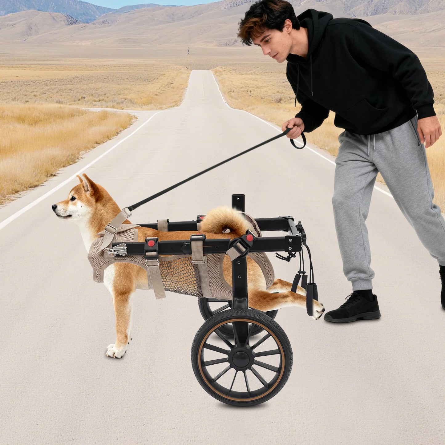 Bymaocar Adjustable Pet Trolley Dog Wheelchair For Hind-Leg Support