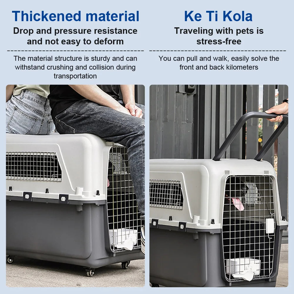 Cat Carrier with Handle and Metal Door Airline Approved