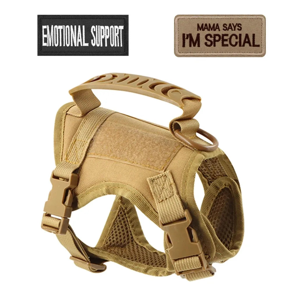 Safe Tactical Cat Harness and Leash with Stickers for Pets