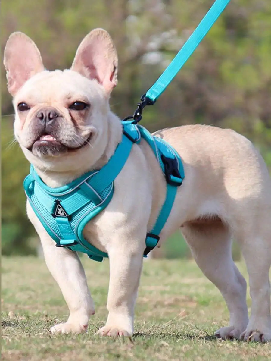 Reflective Pet Harness and Leash Set for Dogs and Cats Escape Proof