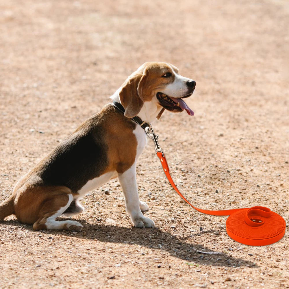 Livepetsme Waterproof PVC Dog Leash For Walks And Training