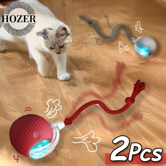 Cat Interactive Ball Toy Set Two Pack Automatic Rolling Ball Rechargeable