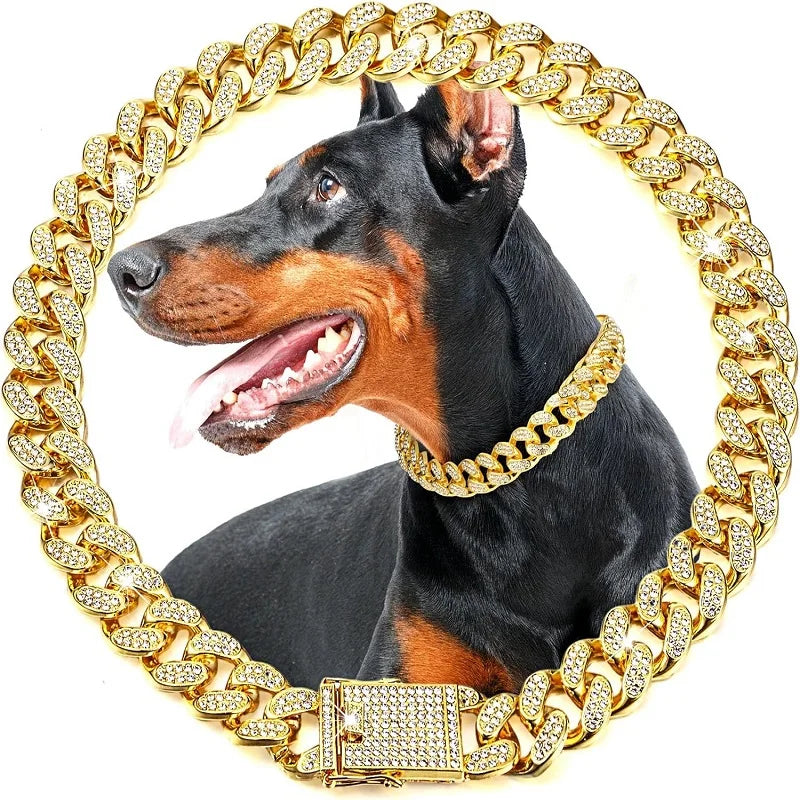 Stainless Steel Jeweled Pet Chain Collar