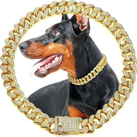 Stainless Steel Jeweled Pet Chain Collar