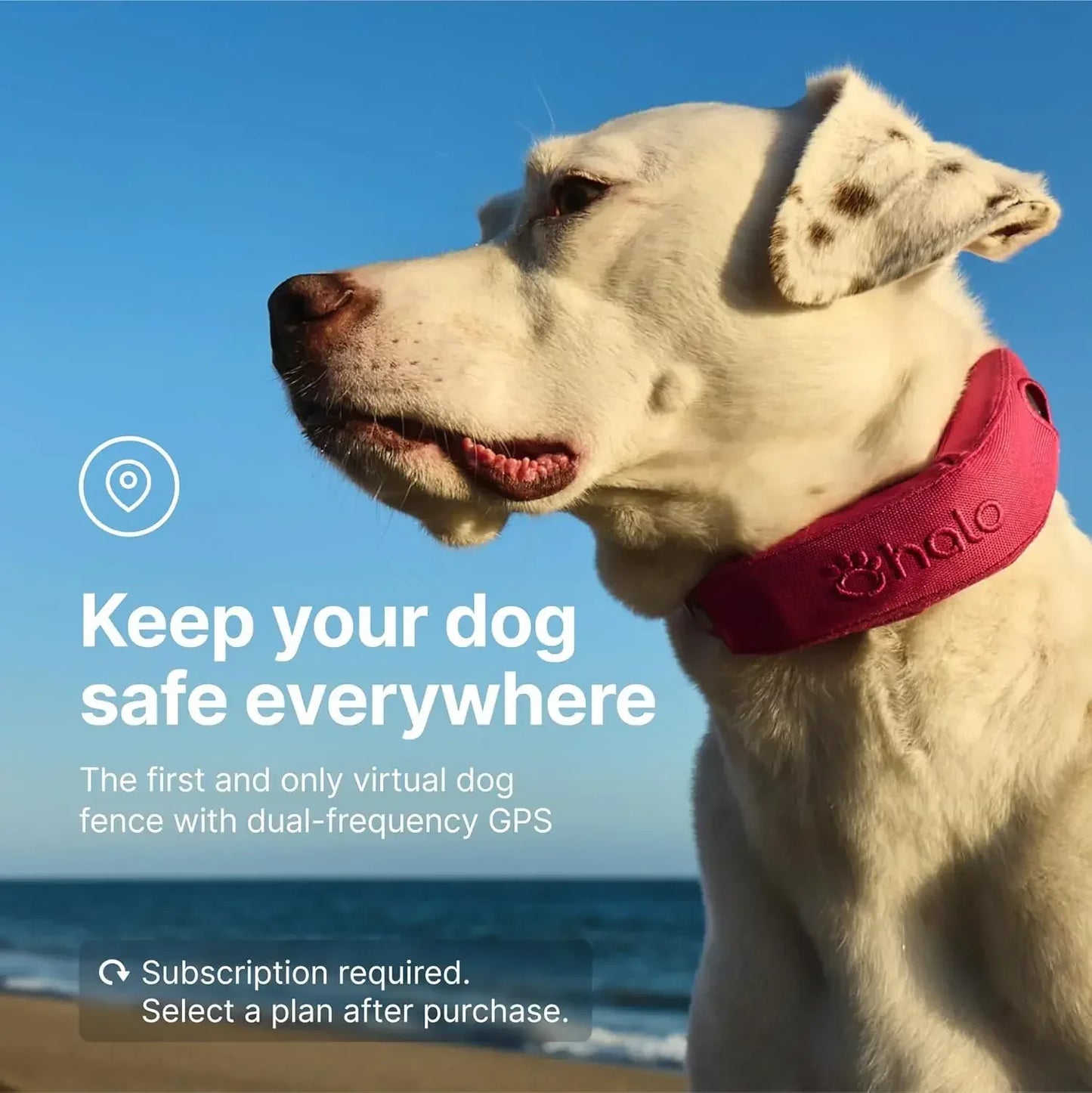 Halo Collar Outdoor Boundary System With Real Time Tracking