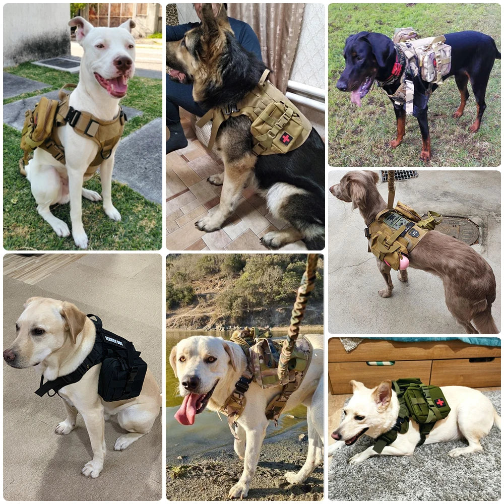 Nylon Tactical Dog Harness Leash Set For Large Dogs Training