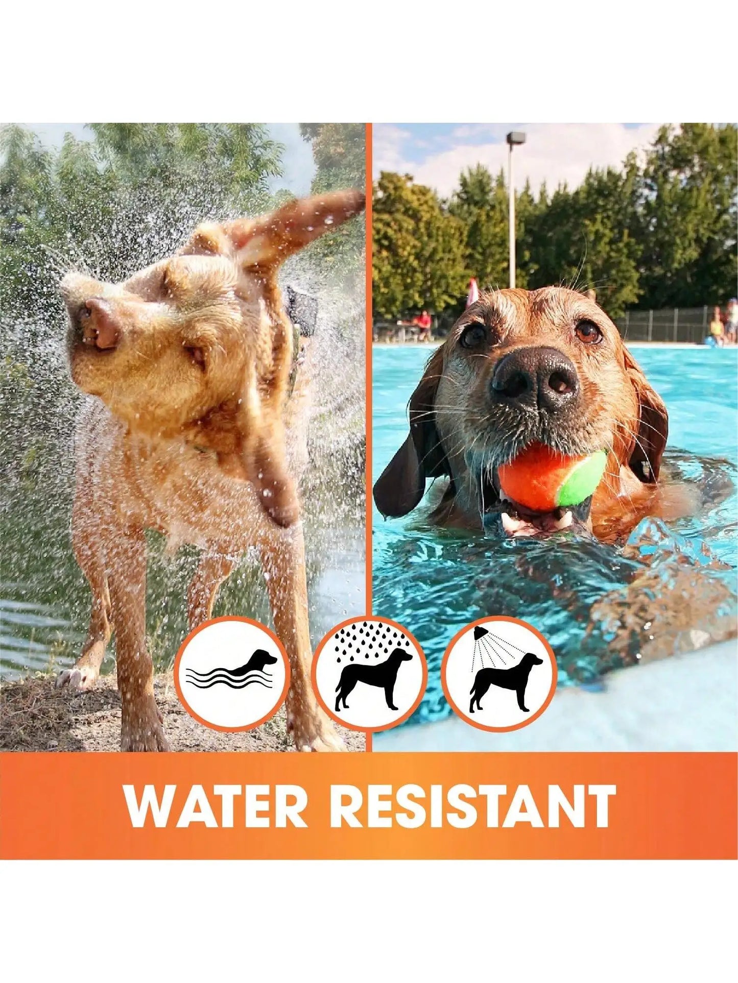 Natural Flea And Tick Treatment Collar For Dogs Waterproof