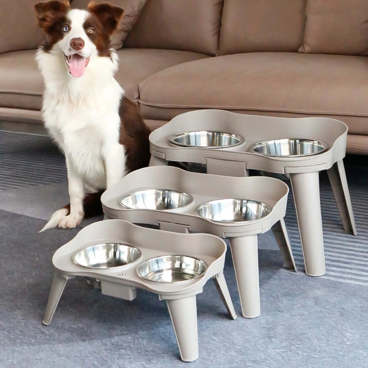 Elevated Dog Feeder Stand With Non Slip No Spill Bowl