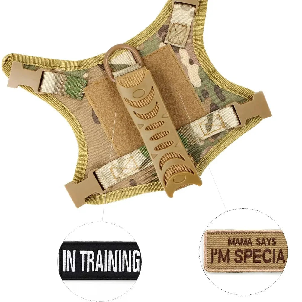 Safe Tactical Cat Harness and Leash with Stickers for Pets