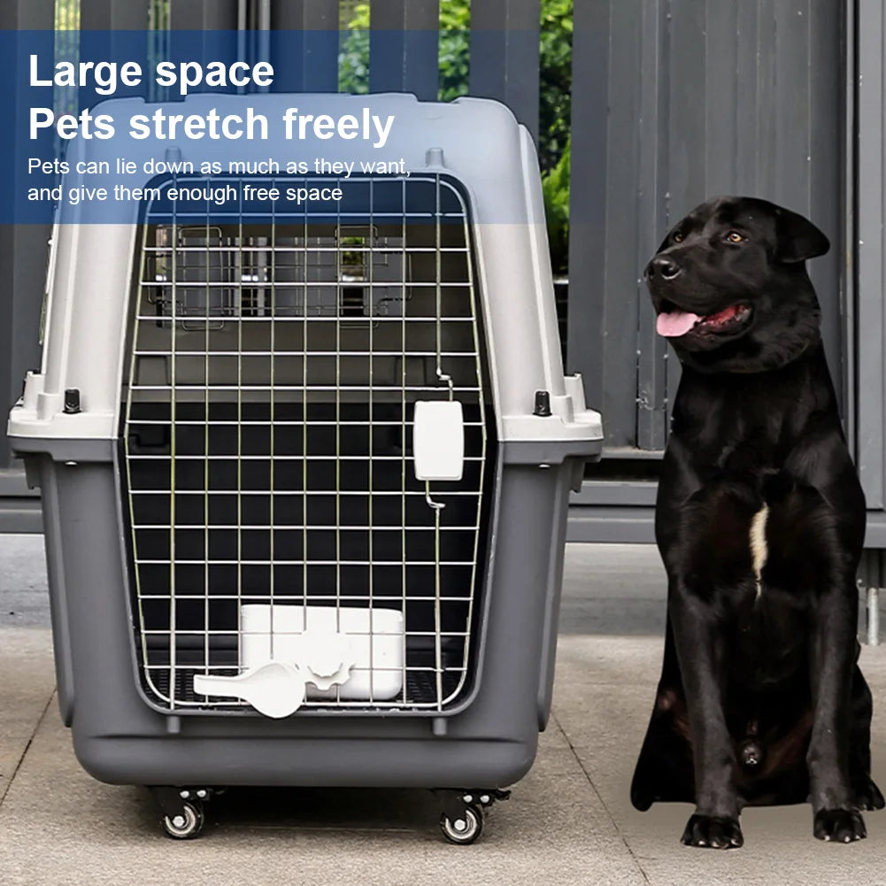 Cat Carrier with Handle and Metal Door Airline Approved